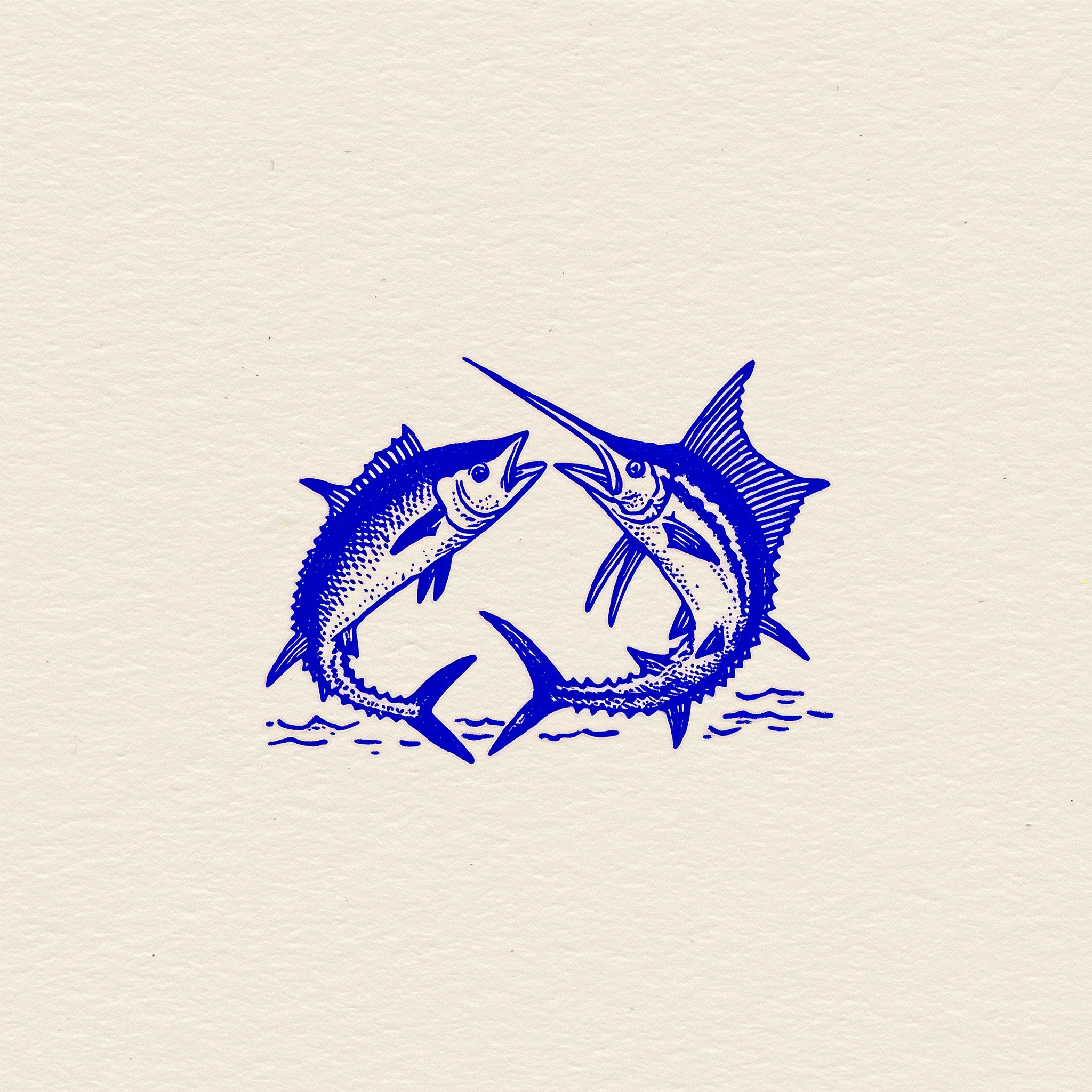 A tuna fish and a swordfish playing together, on white background